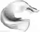 Fig. 01 - TISSUE ENGINEERING MENISCAL COMPOSITE SCAFFOLD AND PREPARATION METHOD THEREOF