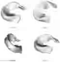 Fig. 04 - TISSUE ENGINEERING MENISCAL COMPOSITE SCAFFOLD AND PREPARATION METHOD THEREOF