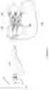 Fig. 25 - Bi-directional fixating/locking transvertebral body screw/intervertebral cage stand-alone constructs having a central screw locking lever, and pliers and devices for spinal fusion