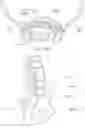 Fig. 41 - APPARATUS, SYSTEMS, AND METHODS FOR THE FIXATION OR FUSION OF BONE