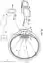 Fig. 20 - Artificial vision intraocular implant device