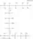 Fig. 07 - Cosmetic compositions comprising silicone elastomer and emollient