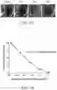 Fig. 07 - Ophthalmic gel and preparation method thereof