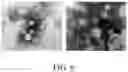 Fig. 08 - Ophthalmic gel and preparation method thereof