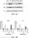Fig. 09 - Methods and compositions relating to emulsions comprising fish oil and/or omega-3 fatty acids