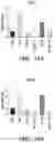 Fig. 22 - Methods and compositions relating to emulsions comprising fish oil and/or omega-3 fatty acids