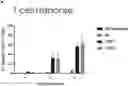 Fig. 01 - Lipid nanoparticles