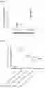 Fig. 02 - Lipid nanoparticles