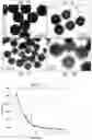 Fig. 04 - Method for treating neoplasms using hollow silica spheres