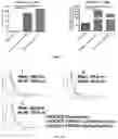Fig. 02 - METHODS AND COMPOSITIONS FOR TREATING CANCER USING EXOSOMES-ASSOCIATED GENE EDITING