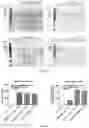 Fig. 12 - METHODS AND COMPOSITIONS FOR TREATING CANCER USING EXOSOMES-ASSOCIATED GENE EDITING
