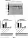 Fig. 16 - METHODS AND COMPOSITIONS FOR TREATING CANCER USING EXOSOMES-ASSOCIATED GENE EDITING