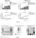 Fig. 17 - METHODS AND COMPOSITIONS FOR TREATING CANCER USING EXOSOMES-ASSOCIATED GENE EDITING