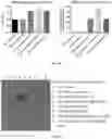 Fig. 23 - METHODS AND COMPOSITIONS FOR TREATING CANCER USING EXOSOMES-ASSOCIATED GENE EDITING