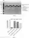 Fig. 24 - METHODS AND COMPOSITIONS FOR TREATING CANCER USING EXOSOMES-ASSOCIATED GENE EDITING