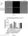 Fig. 26 - METHODS AND COMPOSITIONS FOR TREATING CANCER USING EXOSOMES-ASSOCIATED GENE EDITING