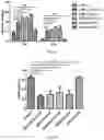 Fig. 06 - Surface-modified mesoporous silica nanoparticle for blood-brain barrier penetration,tumor targeting and cancer metastasis treatment, methods of production and uses thereof