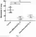 Fig. 08 - Surface-modified mesoporous silica nanoparticle for blood-brain barrier penetration,tumor targeting and cancer metastasis treatment, methods of production and uses thereof
