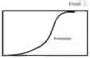 Fig. 04 - CANNABINOID STOCK FOR FORMULATION PRODUCTS