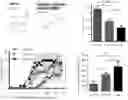 Fig. 01 - Small molecule CMKLR1 antagonists in inflammatory disease