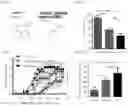 Fig. 02 - Small molecule CMKLR1 antagonists in inflammatory disease