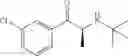 Fig. 02 - Dosage forms and methods for enantiomerically enriched or pure bupropion