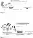 Fig. 03 - Compositions and methods for ablating niche cells in testis and other epithelial cells and methods relating thereto