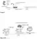 Fig. 06 - Compositions and methods for ablating niche cells in testis and other epithelial cells and methods relating thereto