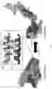 Fig. 02 - Mitofusin activators and methods of use thereof