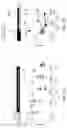 Fig. 09 - Mitofusin activators and methods of use thereof