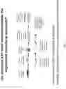 Fig. 02 - Methods and agents that enhance myogenic progenitor cell engraftment