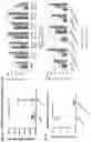 Fig. 05 - Methods and agents that enhance myogenic progenitor cell engraftment
