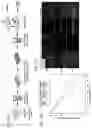 Fig. 12 - Methods and agents that enhance myogenic progenitor cell engraftment