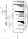 Fig. 15 - Methods and agents that enhance myogenic progenitor cell engraftment
