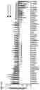 Fig. 21 - Methods and agents that enhance myogenic progenitor cell engraftment