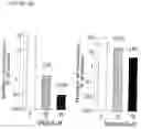 Fig. 16 - Derivatives of korormicin useful as antibiotics