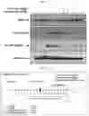Fig. 10 - Composition compromising dunnione as effective ingredient for prevention or alleviation of hair loss