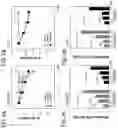 Fig. 03 - Pharmaceutical composition for preventing and treating liver diseases, containing, as active ingredient, cromolyn or pharmaceutically acceptable salt thereof