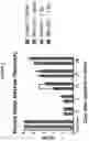 Fig. 04 - METHODS AND COMPOSITIONS UTILIZING RRx-001 FOR RADIOPROTECTION