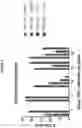 Fig. 05 - Methods and compositions utilizing RRx-001 combination therapy for radioprotection