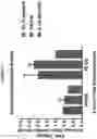Fig. 16 - Methods and compositions utilizing RRx-001 combination therapy for radioprotection