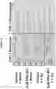 Fig. 25 - Methods and compositions utilizing RRx-001 combination therapy for radioprotection