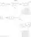 Fig. 87 - Thioindirubins
