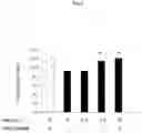 Fig. 04 - Therapeutic agent for keratoconjunctive disorders