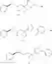 Fig. 192 - LSD1 inhibitor and preparation method and application thereof