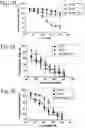 Fig. 04 - Compounds as mPGES-1 inhibitors