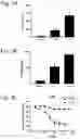 Fig. 05 - Compounds as mPGES-1 inhibitors