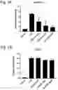 Fig. 09 - Compounds as mPGES-1 inhibitors