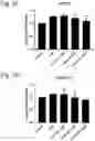 Fig. 10 - Compounds as mPGES-1 inhibitors