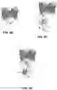 Fig. 04 - STRUCTURAL BASIS FOR OUTER MEMBRANE USHER ACTIVATION TO CATALYZE P PILUS ASSEMBLY
